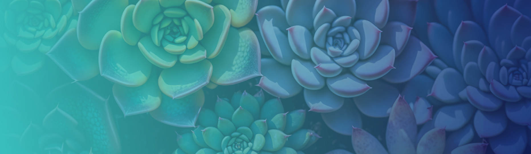 Insights and Strategies for a Successful Path to Recovery